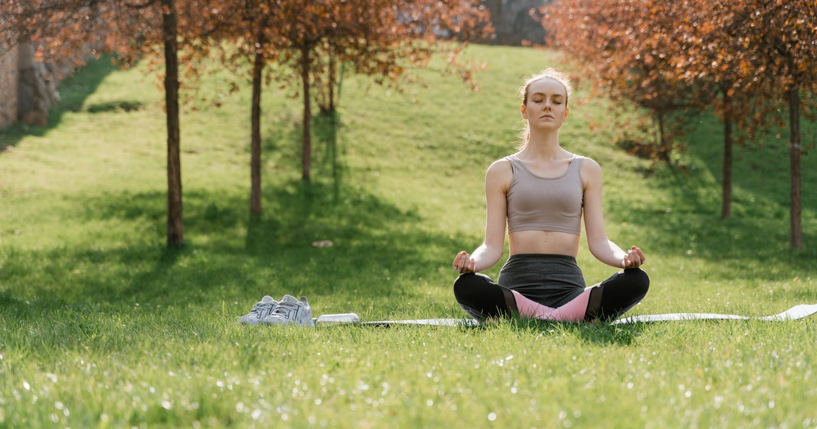Meditating in a sunny park — a morning sit that sets the day