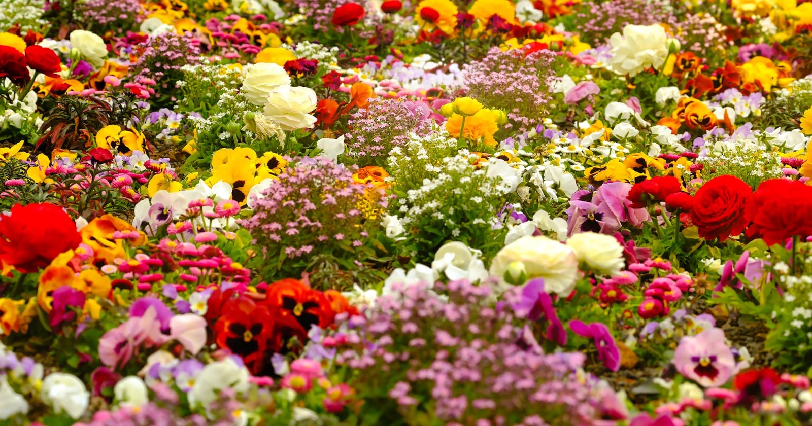 Spring flower meadow — spring's pull to clear out what got heavy