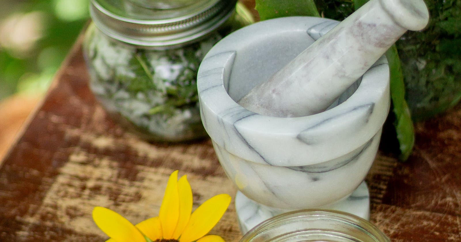 Herbs, salves and aloe vera arranged on a table, herbal medicine of the kind ashwagandha belongs to