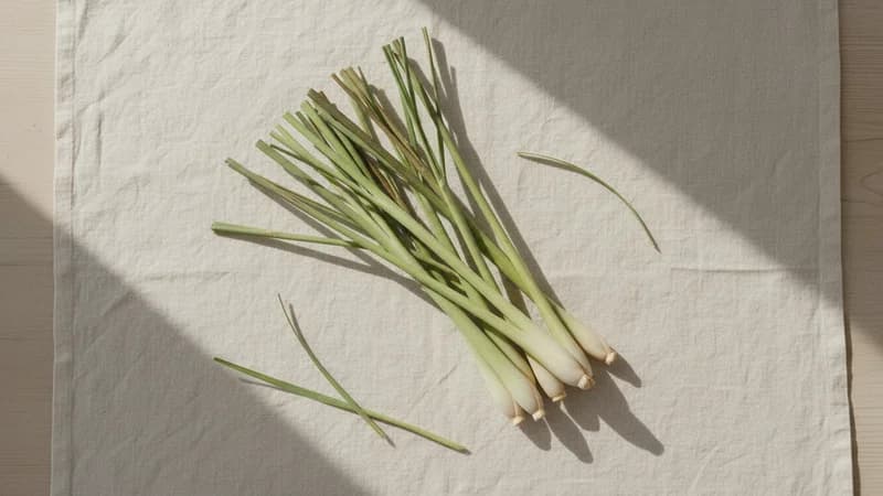 Lemongrass (Bhustrina) — whole and prepared form, top-down still life