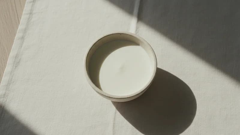 Milk (Dugdha / Ksheera) — whole and prepared form, top-down still life