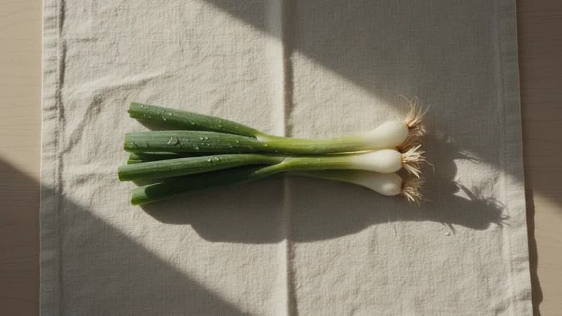 Spring Onion (Harita Palandu) — whole and prepared form, top-down still life